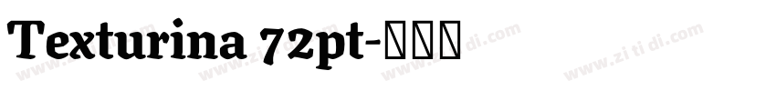 Texturina 72pt字体转换 Texturina 72pt字体转换